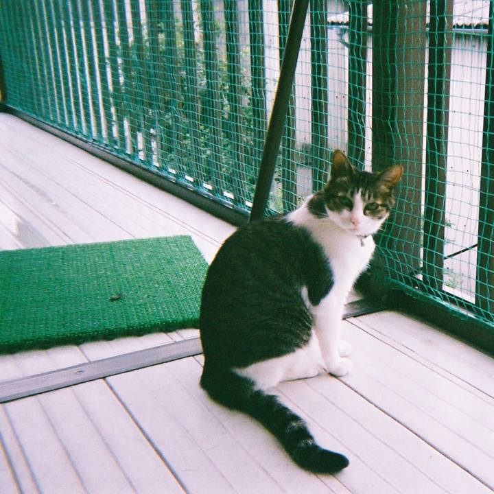 054cf796 228a 475e 8376 a15c264a2d10 1560557910994