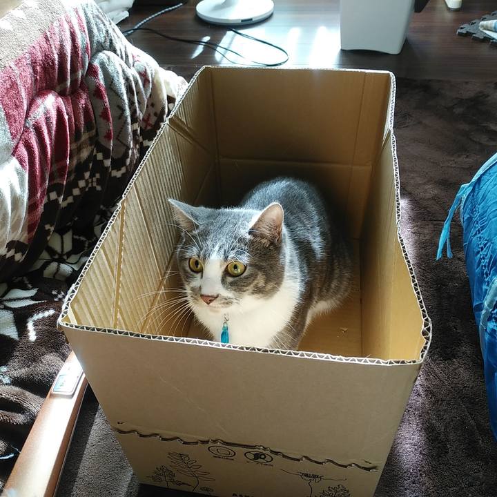 054cfc54 7e91 4857 85df 2a7ff391ed87 1579492194568