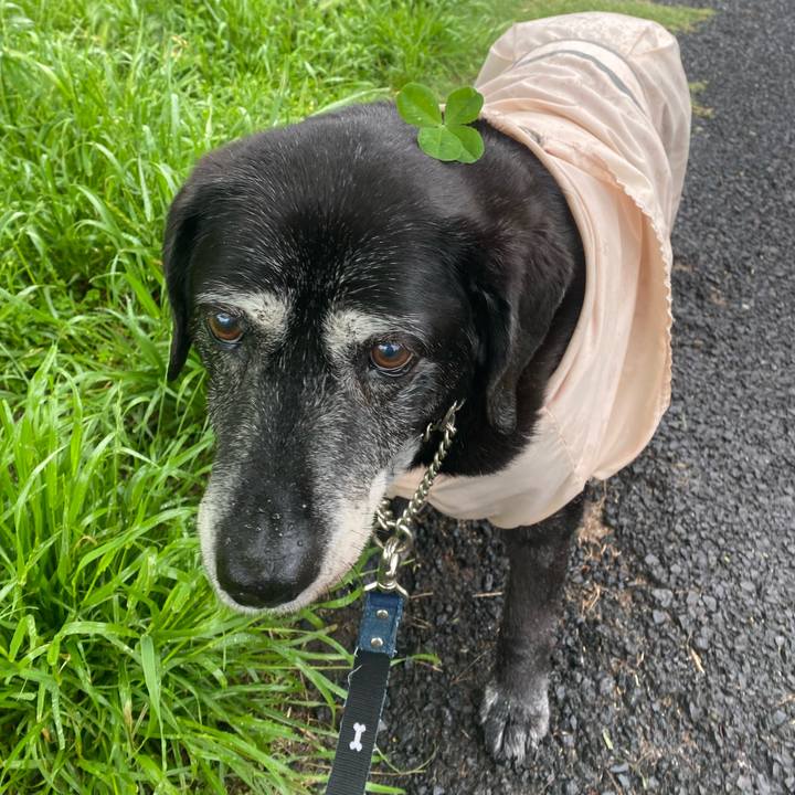 054cfcee db33 4da1 9fd2 4f0b2b2c5f35 1747486937370