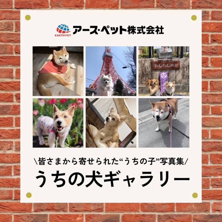 054d3fa0 1f57 4a02 820e 07f89b884023 1712628686241