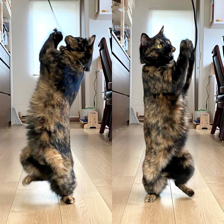 054d4e5b 3e42 4d8b 8a7a c9467bedf9ff 1625130013651