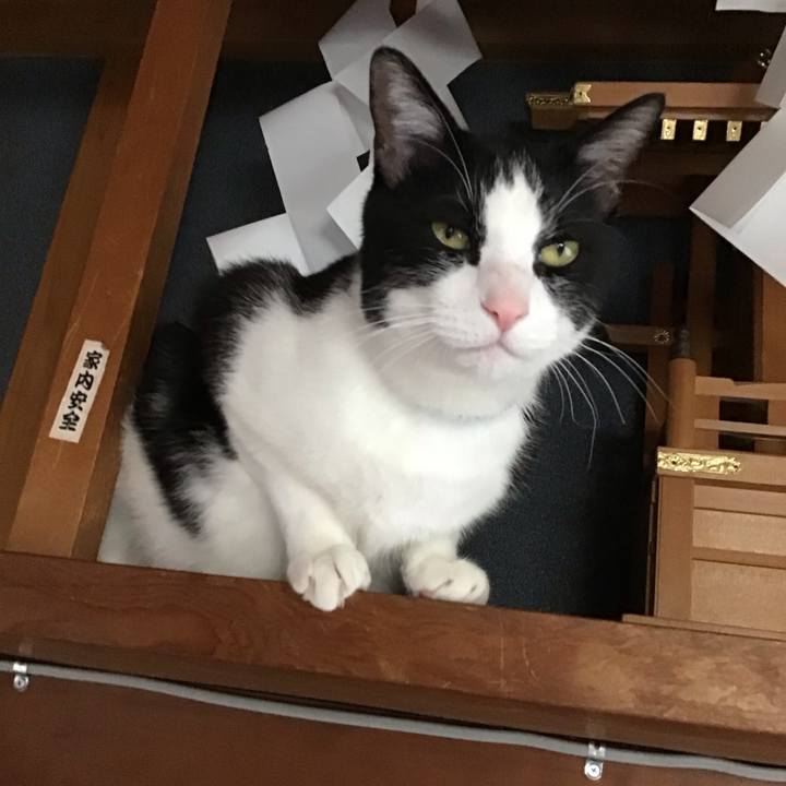 054d7611 6c07 4aa4 9702 f4b6fb06bf17 1713251992943