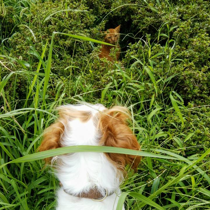 054d7cad ea45 4a5d b18f 6f4ad78d9625 1536578566909