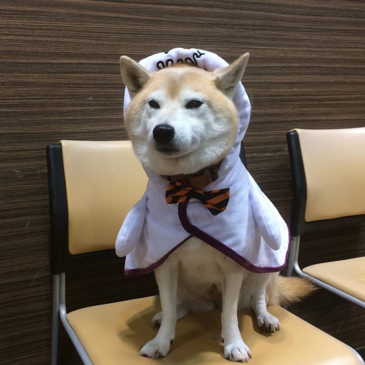 054d865b 242e 45a7 b891 02532a4b9b71 1570112182156