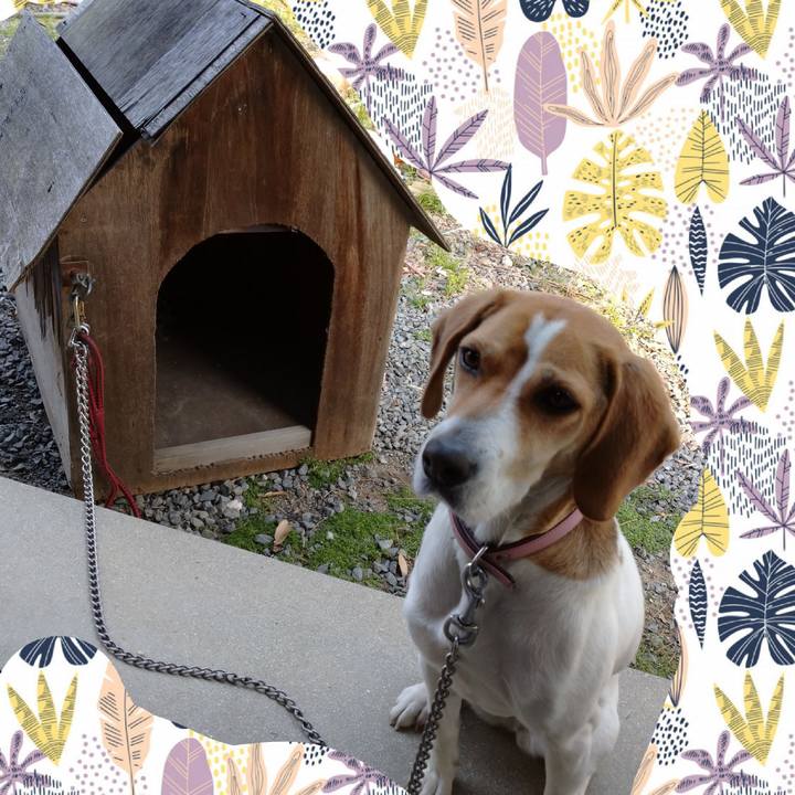 054d8d5e a6d4 4cc7 a214 1eb80931565b 1587024218461