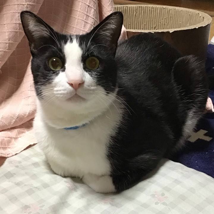 054da025 9e87 46ca abbd 9f6dd591b0e2 1714653739142