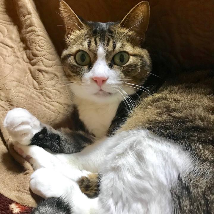 054db71b eb71 48ae 98ae 8fdaa3ded2e9 1519989730929