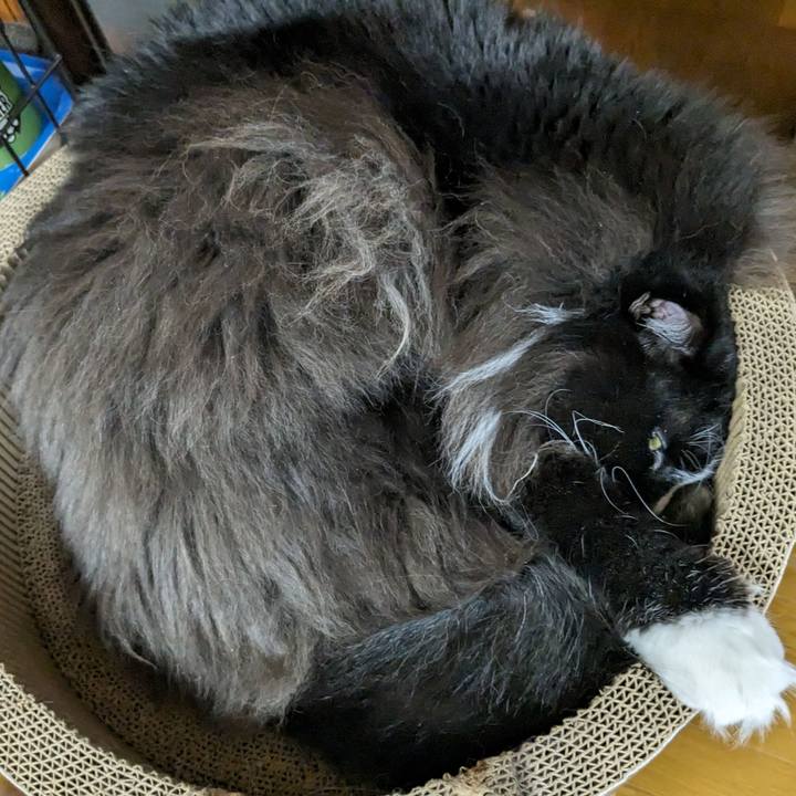 054e0234 4a6d 4a2f 8b4d aeccef023347 1692747709883