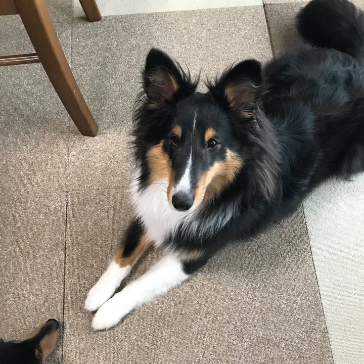 054e046e e018 45f2 942f e99f0844ce68 1523827413413