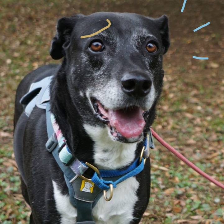 054e04f2 4f03 46e6 96e1 e5d0a8d4b8a3 1761871791992