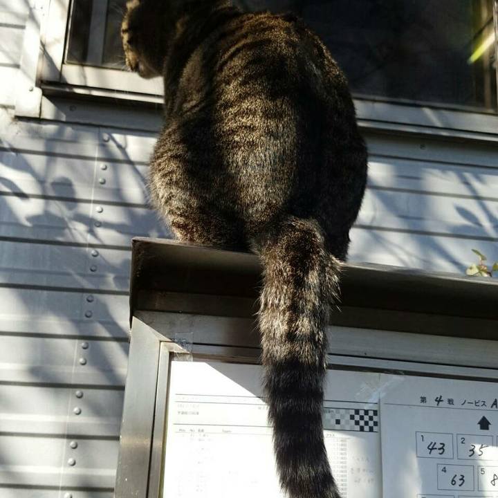 054e3b77 738e 45ff b698 78ead2e62019 1511588622489