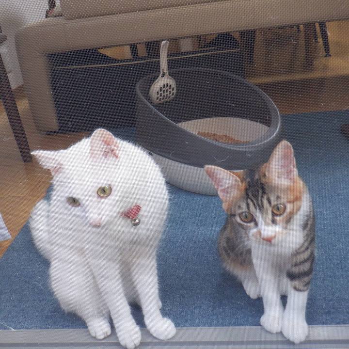 054e3f66 5181 4b6c 85bc f8b96bc6ce4e 1633306196573