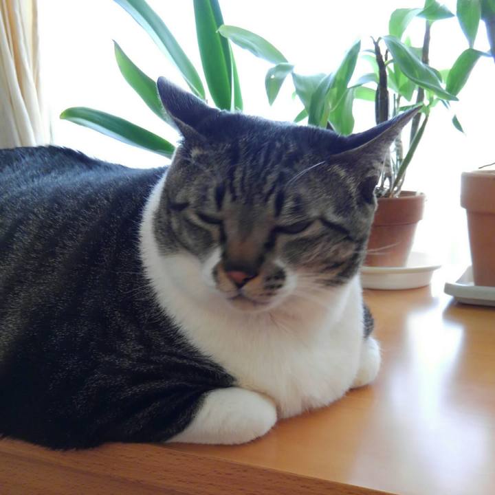 054e50b5 b096 4503 ac52 3a0d1bb473cd 1516494105082