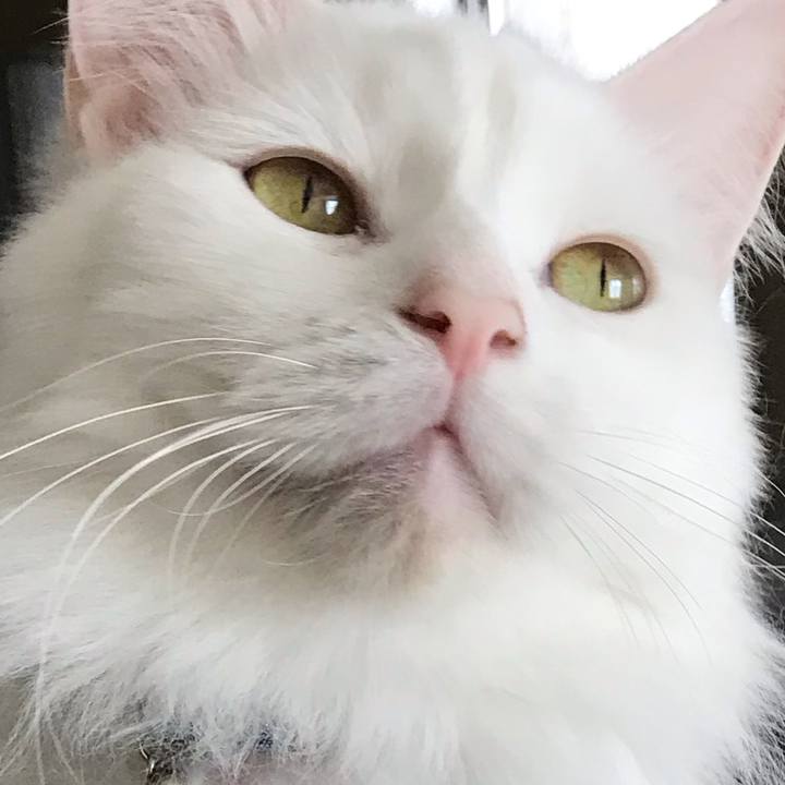 054e63b4 72bc 42d3 b5de 85da582dd67f 1559880968772