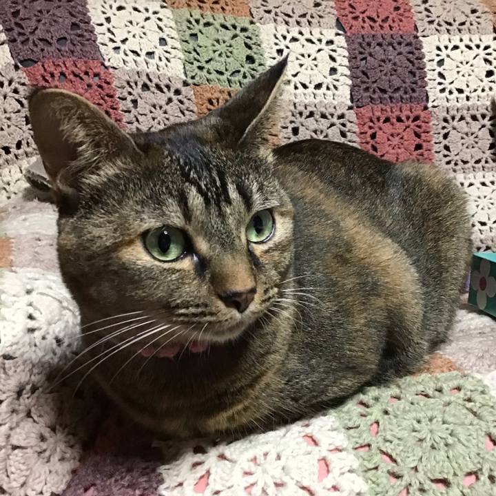 054e9375 7376 4d4f 9bc4 cdc0c9fa7165 1732094113862