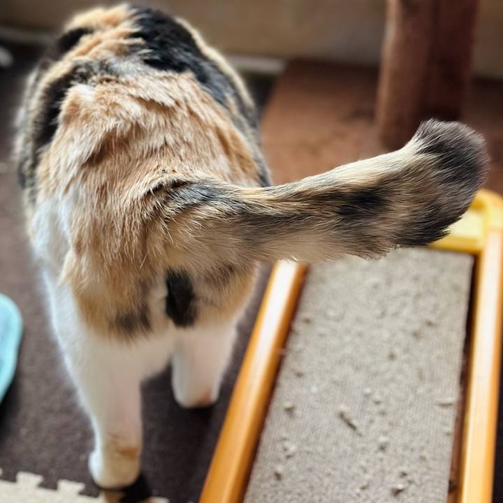 054ea8f8 3e87 4fab 894f f036842e6a74 1707702677653