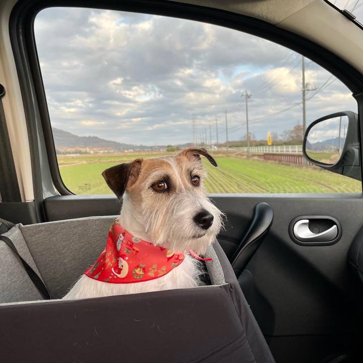 054eb18f 2dca 4981 b11b e22855b2806b 1670584094940