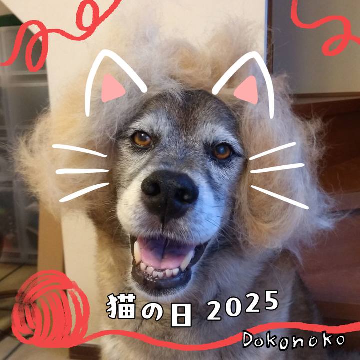 054ed9ca af0c 4e2f 8a69 eddb287b7994 1740129034858