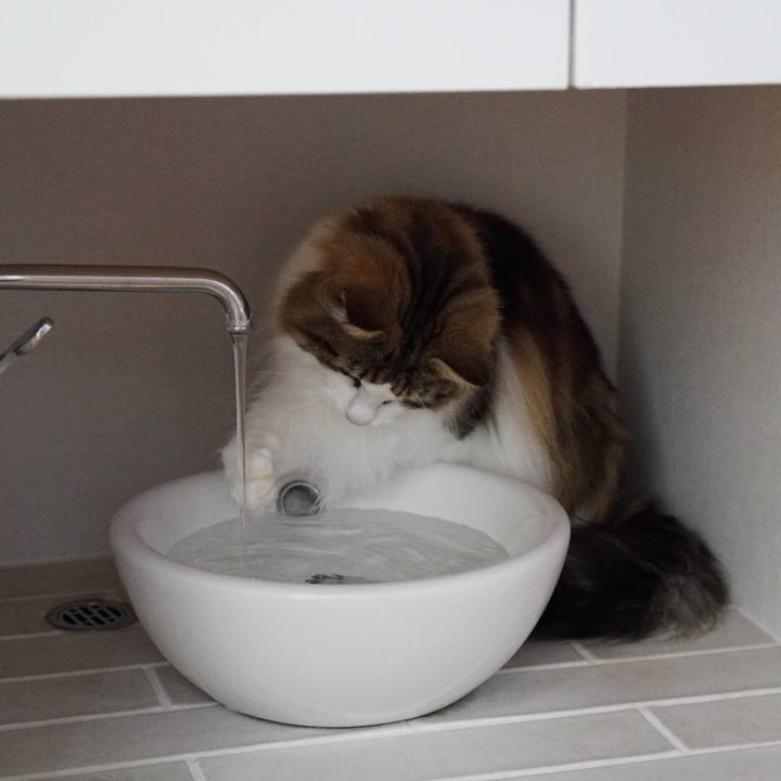 054ede63 be3b 41b2 b367 f08d58654268 1562809008907