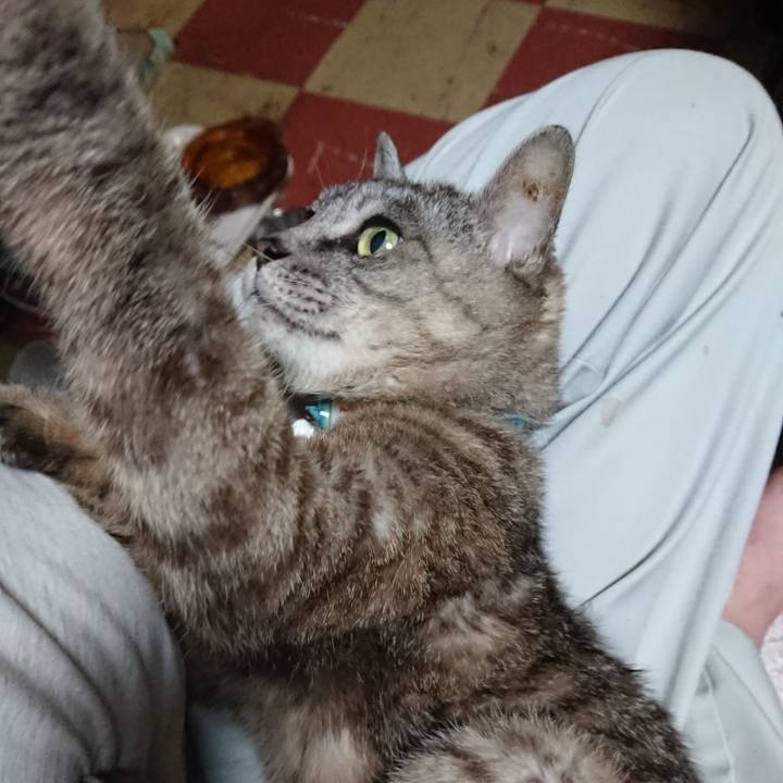 054f5d8d 6325 42d3 a2af 0831139c8a92 1567678000258