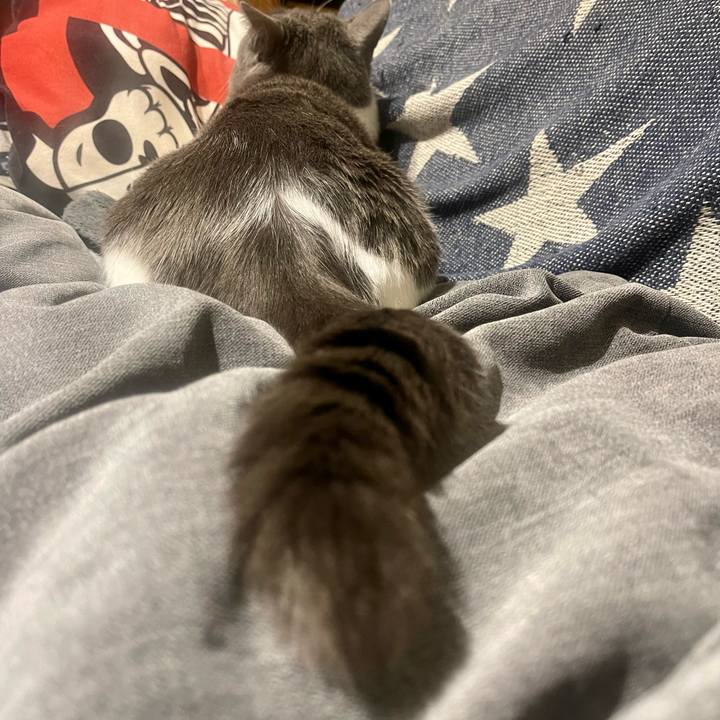 054f745f f325 4b44 a92e d01764bc006c 1648643545973