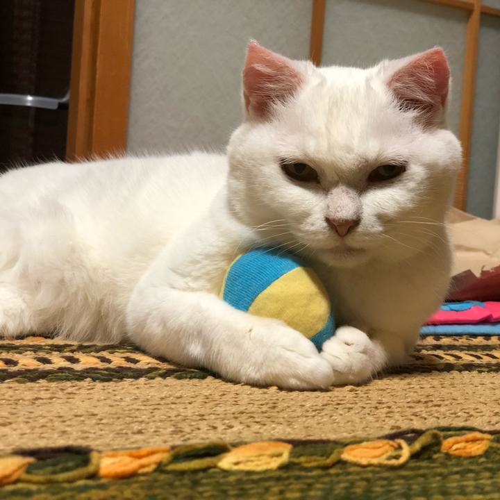 054f9b85 5834 4e96 bb4c 9e0e26c59ecb 1530534316894