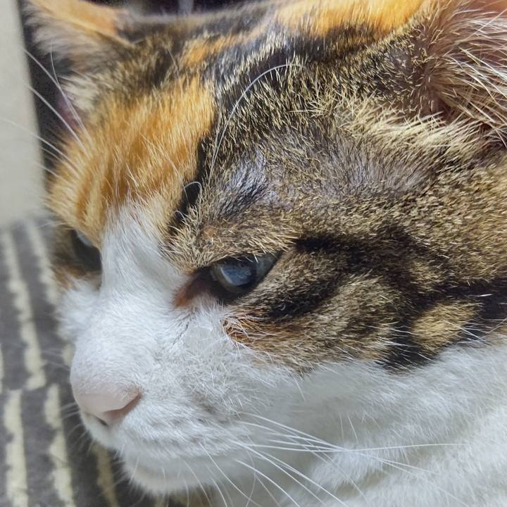 054f9e3d 6d66 484f 9e6e 80ab2924545b 1622756727880