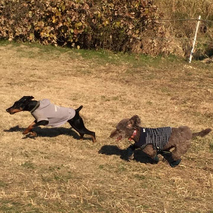 054fa7dc 9d36 4a71 9729 44138b33d499 1512962893393