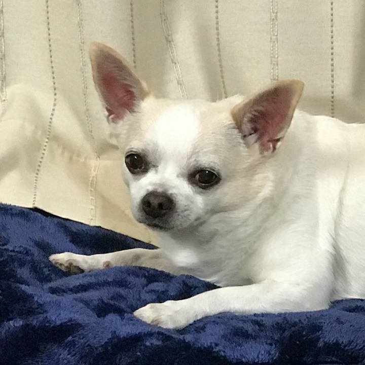 054faa8c 6519 40fa 80ff 95858353a1ae 1544159723451