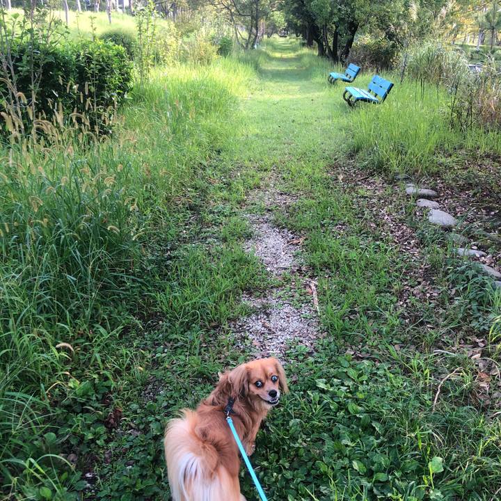 054fbea8 64d6 4d29 bda5 89b379e0a373 1537743095399