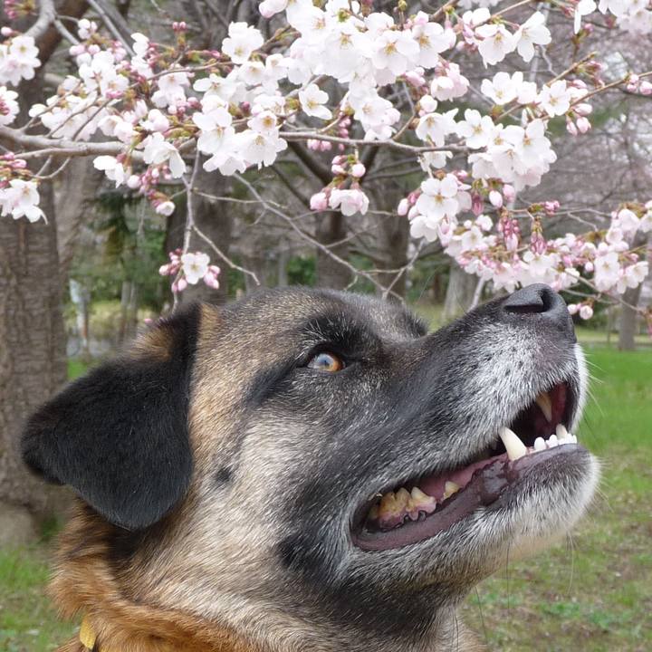 054fd0f4 7b86 4c14 bb52 12c371378162 1616980034921