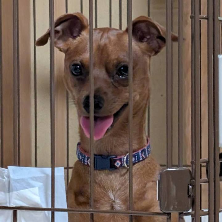 05500f44 946f 413d aba9 42ee080bbc98 1752829798727