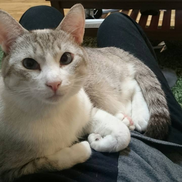 05501237 9e1d 4e80 bcff d07840d13f33 1542193564337