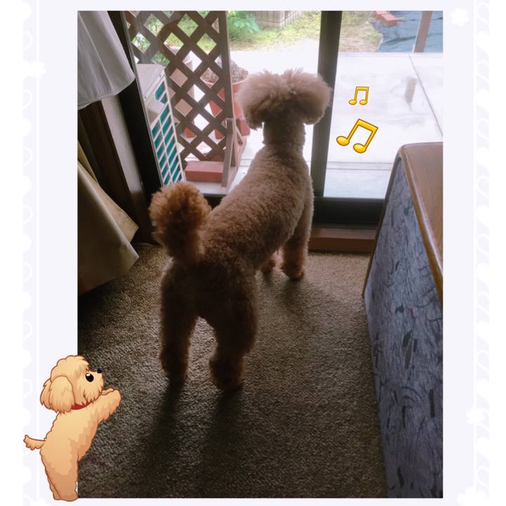 05502138 4c16 4144 ac57 3a834839764c 1526681533890