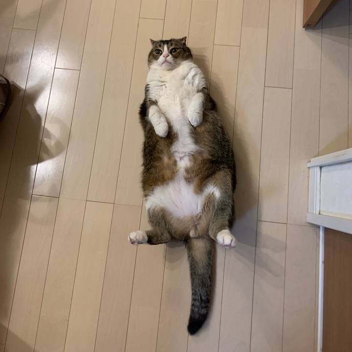 05502f27 bfb9 43b9 8054 6c739ea65687 1577200039820