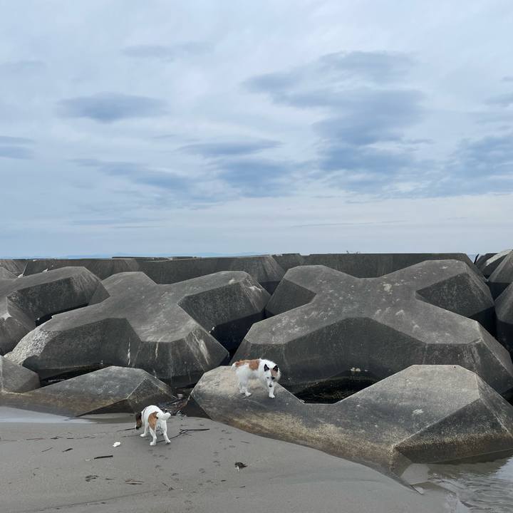 055067d7 7fc5 4576 8299 4efb71510c02 1718668671416