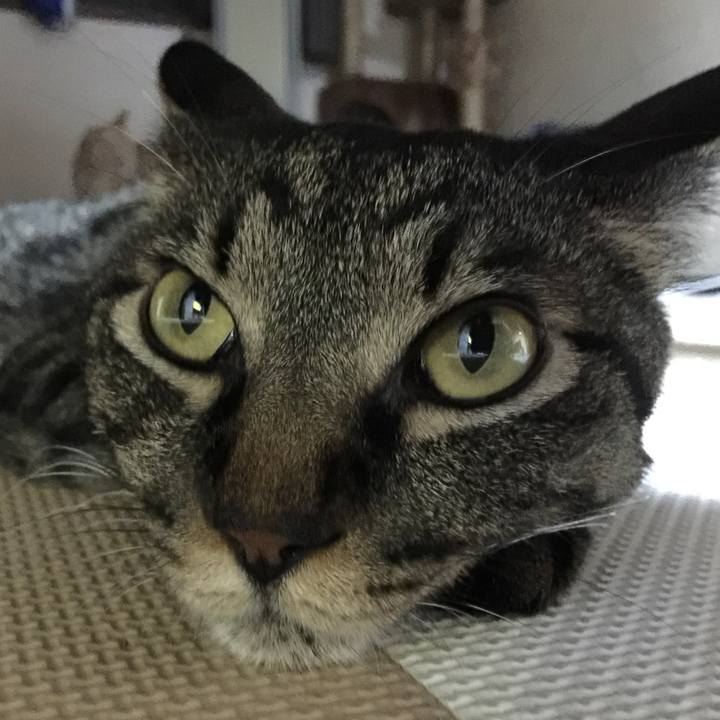 05506b2a 3b19 4a7f ac25 30988215407f 1564746525083