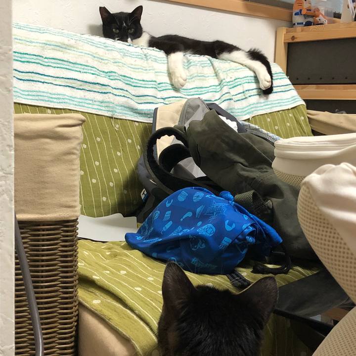 05509212 0274 4565 aae9 40d972bcc416 1531132825372