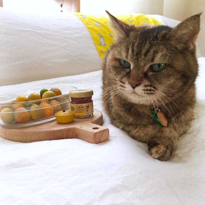 0550aaf4 2242 4489 be10 fa879a276915 1521168973675