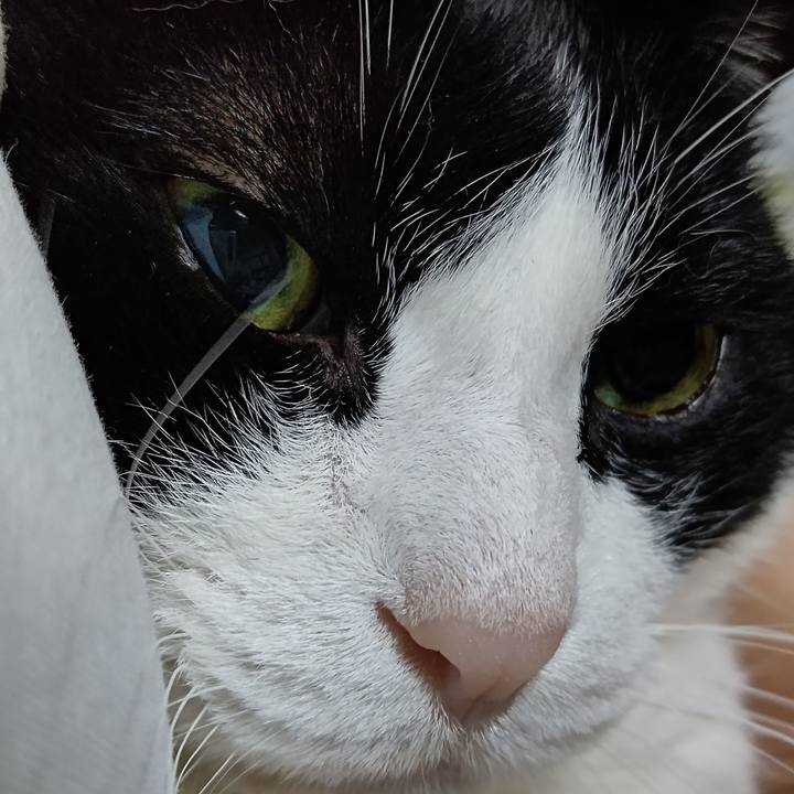 0550af4d 0abb 4014 95f5 88e9cb73afd8 1626005294410