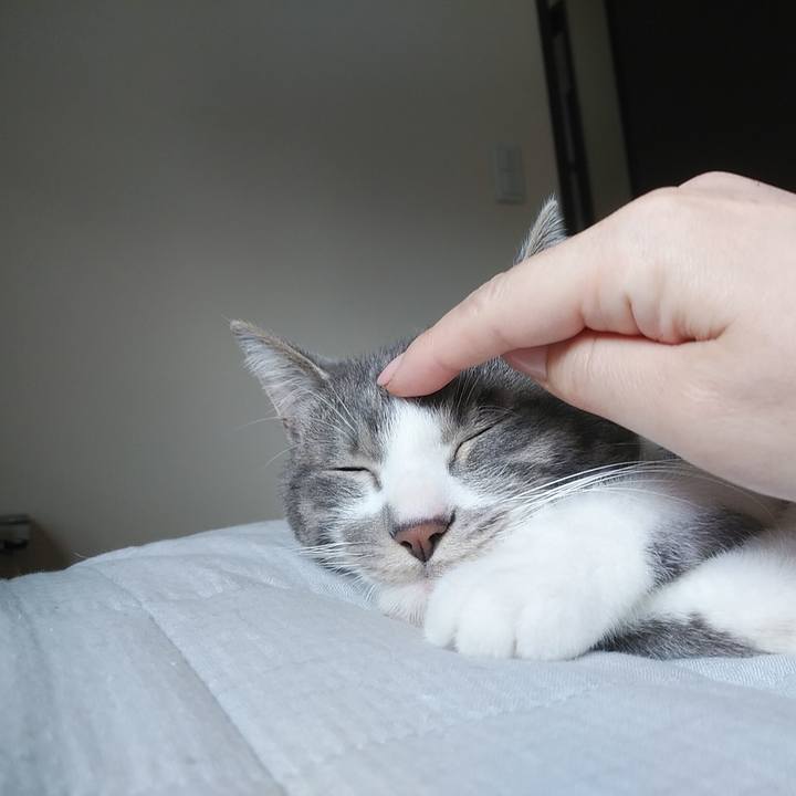 0550e385 41a1 4688 a7bc 42caa866b0ce 1586048376174