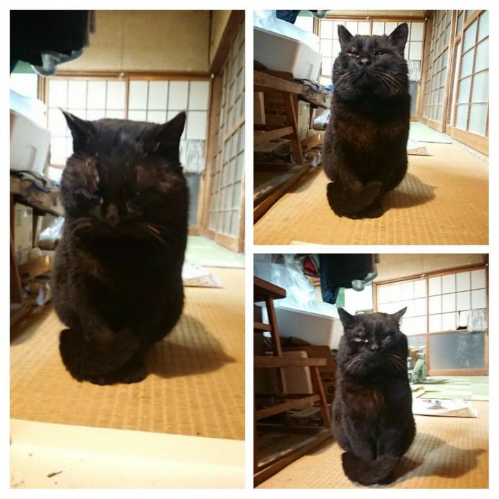 0550f05e dfdd 4bad 9d18 9ff72538fb5a 1616065450124