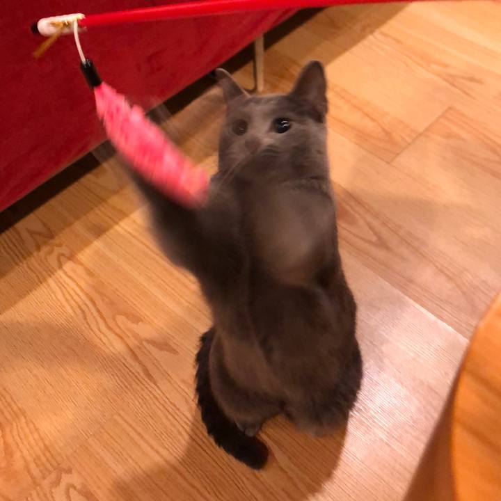 05516526 990d 4edb a7ad 3f17ab634bc8 1580692986345