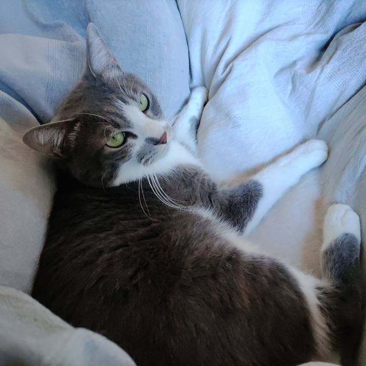 05516661 1430 47cf adaa 4334927543e6 1701659675567