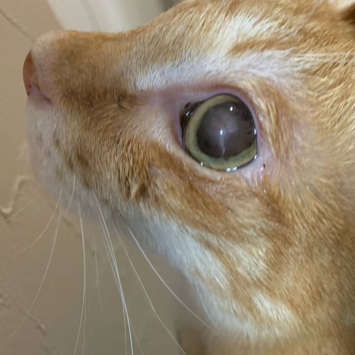 05516bbe e195 45a9 8881 02ef9d0bcd8f 1634737020865