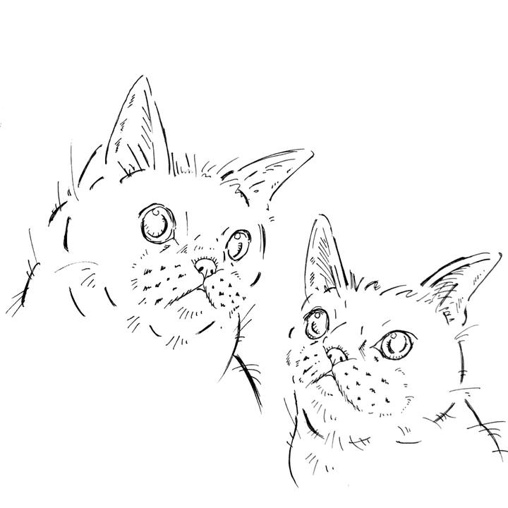 05517ba1 6fa2 421e 8d52 97a10cc4fde1 1654184574518