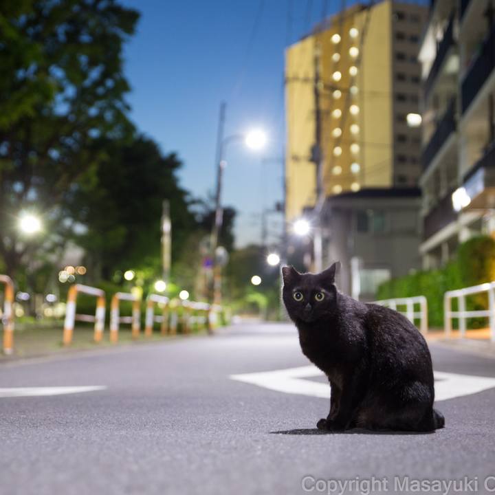 055180b1 cb50 4822 ab2e 09160976a295 1581507796658