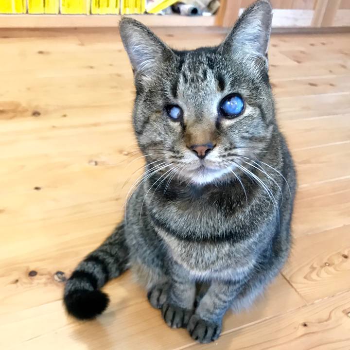 055196f7 0e5e 4ed4 bc08 cd21d81c069d 1552359454813