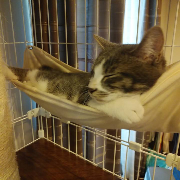 0551a487 b2cb 4156 9d92 dc4a942fd0ac 1571967163829