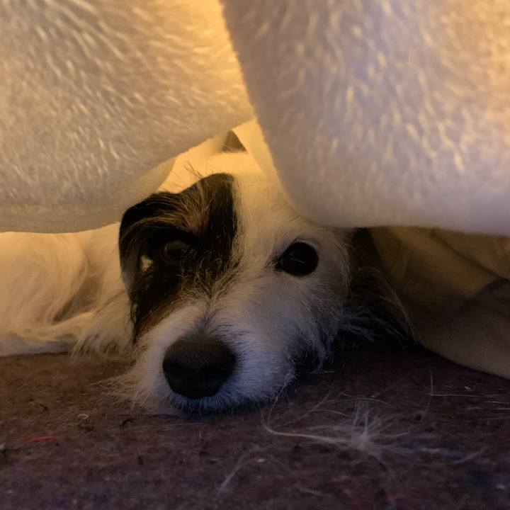 0551c4f5 b2a2 478c 8831 664040f379d9 1671674847854